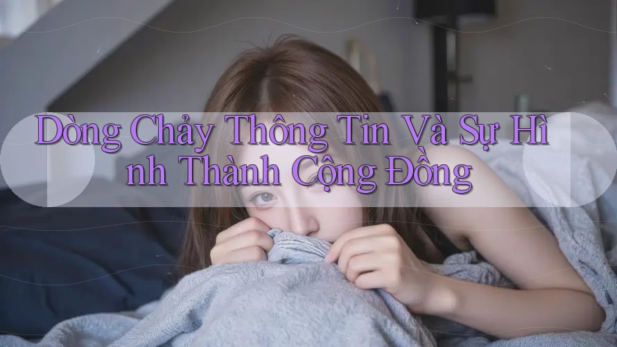 Dòng Chảy Thông Tin Và Sự Hình Thành Cộng Đồng