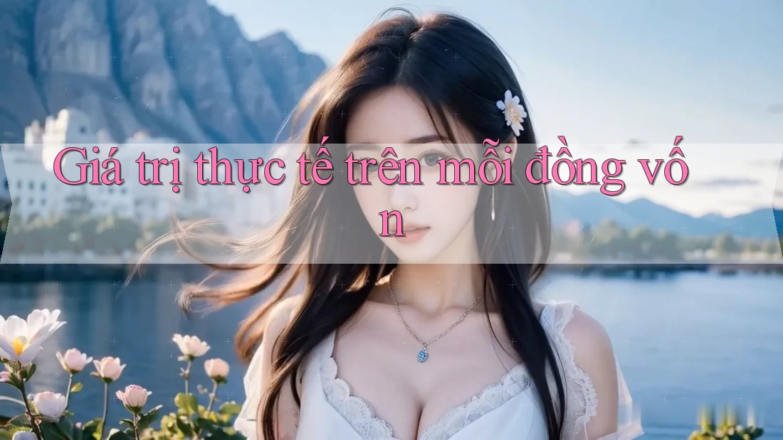Giá trị thực tế trên mỗi đồng vốn