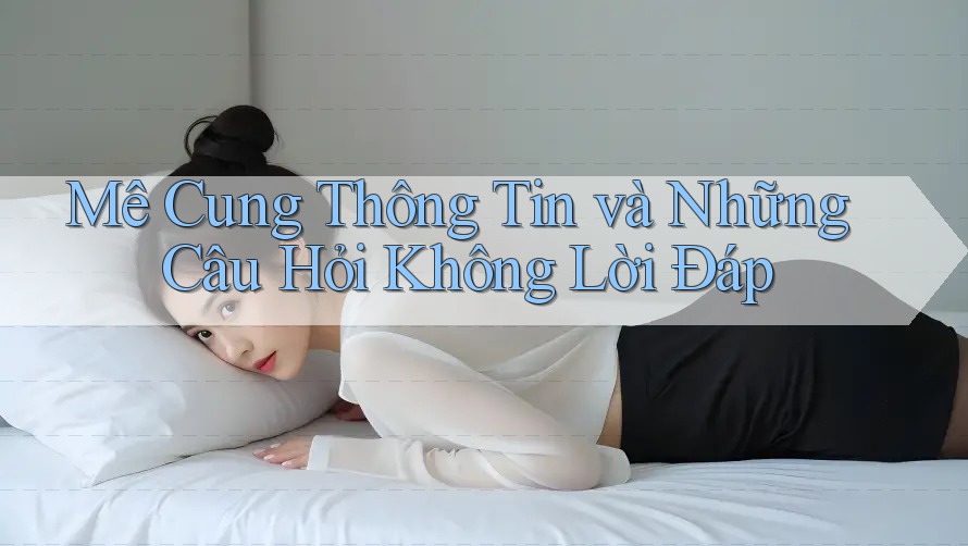 Mê Cung Thông Tin và Những Câu Hỏi Không Lời Đáp