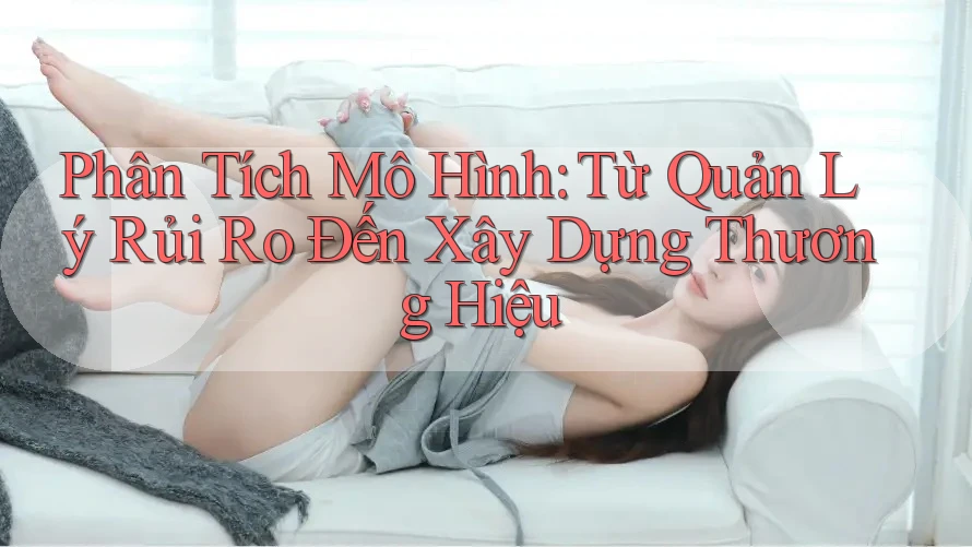 Phân Tích Mô Hình: Từ Quản Lý Rủi Ro Đến Xây Dựng Thương Hiệu