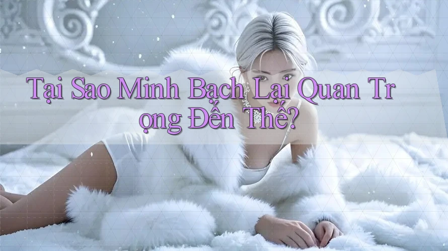 Tại Sao Minh Bạch Lại Quan Trọng Đến Thế?
