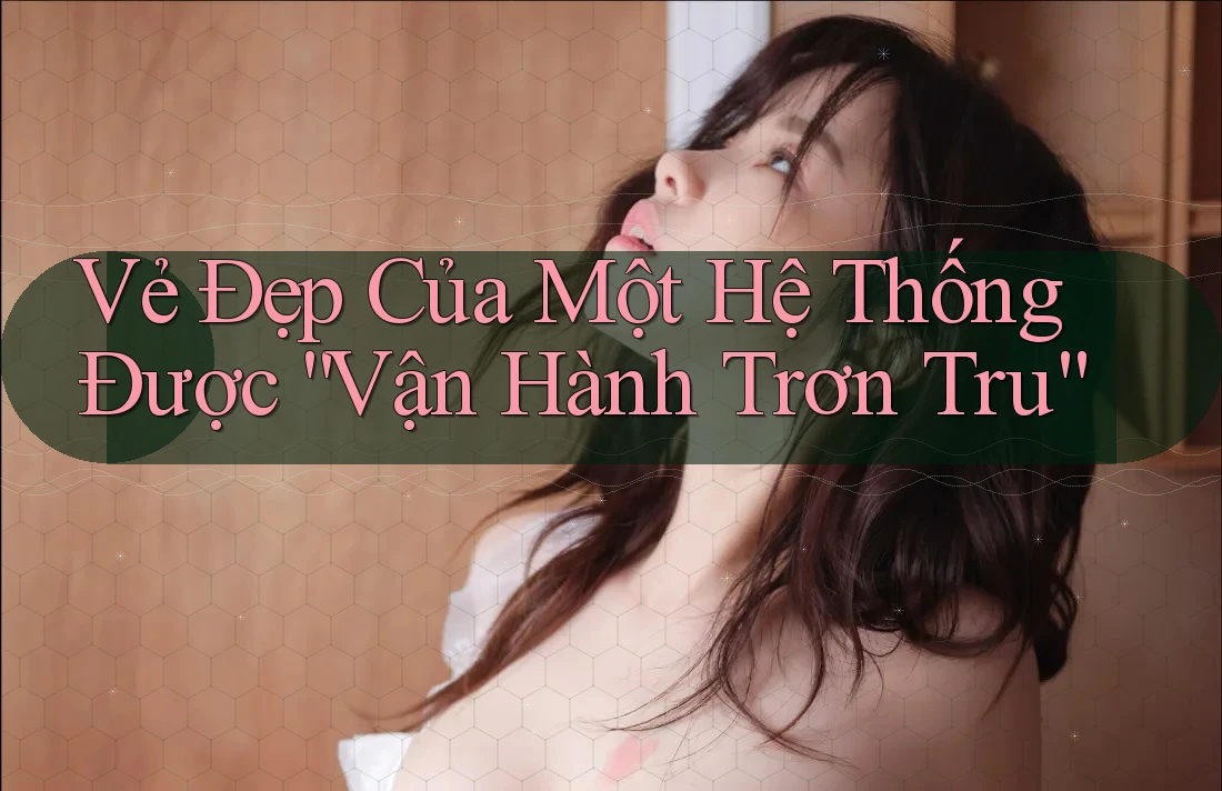 Vẻ Đẹp Của Một Hệ Thống Được “Vận Hành Trơn Tru”